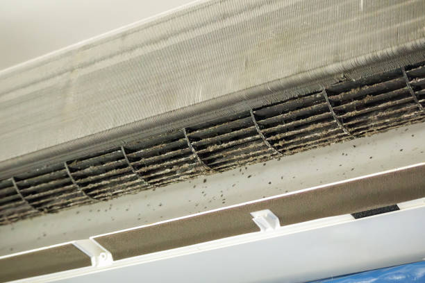 Best Air Duct Cleaning Near Me  in Fort Payne, AL